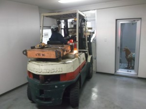 DSCF5982
