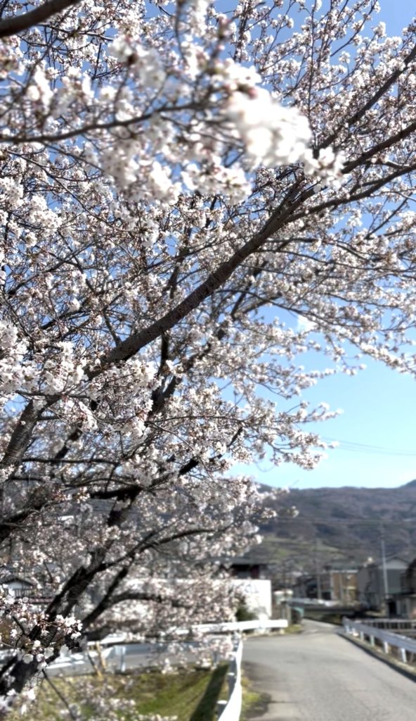 坂城町に春が行く。